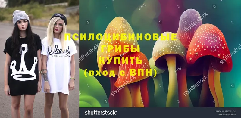 Псилоцибиновые грибы MAGIC MUSHROOMS  Лабинск 